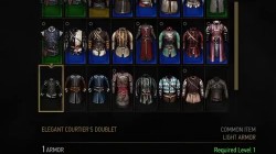 witcher 3 armor elegant courtiers doublet